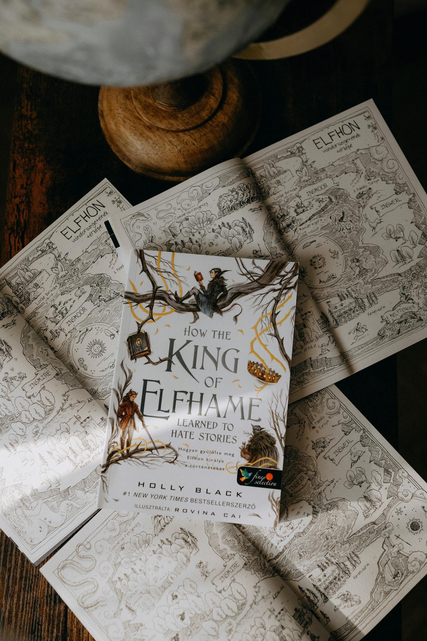A captivating flat lay of a fantasy book with artistic maps in a cozy setting.
